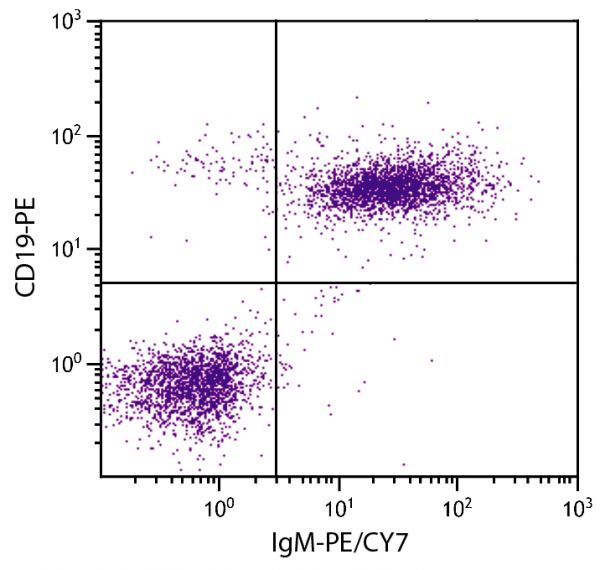 BALB/c mouse splenocytes were stained with Rat Anti-Mouse IgM-PE/CY7 (SB Cat. No. 1140-17) and Rat Anti-Mouse CD19-PE (SB Cat. No. 1575-09).