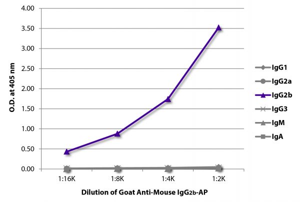 ELISA plate was coated with purified mouse IgG<sub>1</sub>, IgG<sub>2a</sub>, IgG<sub>2b</sub>, IgG<sub>3</sub>, IgM, and IgA. Immunoglobulins were detected with serially diluted Goat Anti-Mouse IgG<sub>2b</sub>-AP (SB Cat. No. 1091-04).