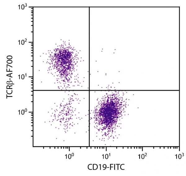 C57BL/6 mouse splenocytes were stained with Hamster Anti-Mouse TCRβ-AF700 (SB Cat. No. 1785-27) and Rat Anti-Mouse CD19-FITC (SB Cat. No. 1575-02).