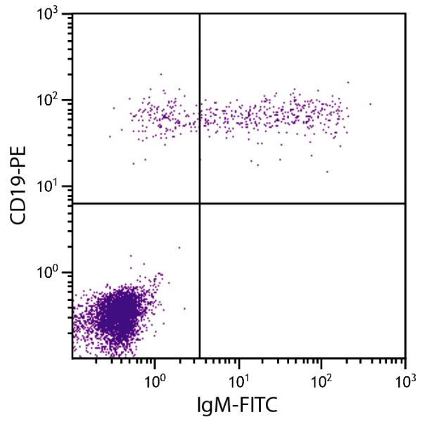 Human peripheral blood lymphocytes were stained with Goat F(ab')<sub>2</sub> Anti-Human IgM-FITC (SB Cat. 2022-02) and Mouse Anti-Human CD19-PE (SB Cat. No. 9340-09).