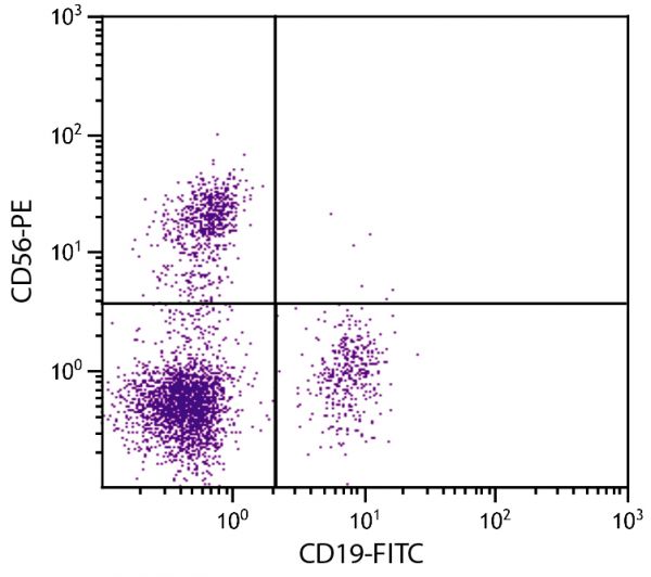 Human peripheral blood lymphocytes were stained with Mouse Anti-Human CD56-PE (SB Cat. No. 9456-09S) and Mouse Anti-Human CD19-FITC (SB Cat. No. 9340-02).