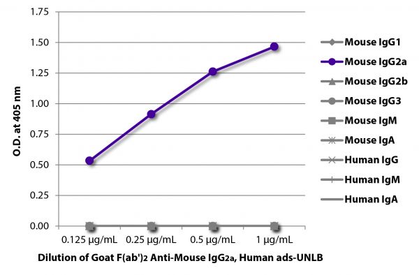 ELISA plate was coated with purified mouse IgG<sub>1</sub>, IgG<sub>2a</sub>, IgG<sub>2b</sub>, IgG<sub>3</sub>, IgM, and IgA and human IgG, IgM, and IgA. Immunoglobulins were detected with serially diluted Goat F(ab')<sub>2</sub> Anti-Mouse IgG<sub>2a</sub>, Human ads-UNLB (SB Cat. No. 1082-01) followed by a Mouse Anti-Goat IgG(H+L) secondary antibody conjugated to HRP.