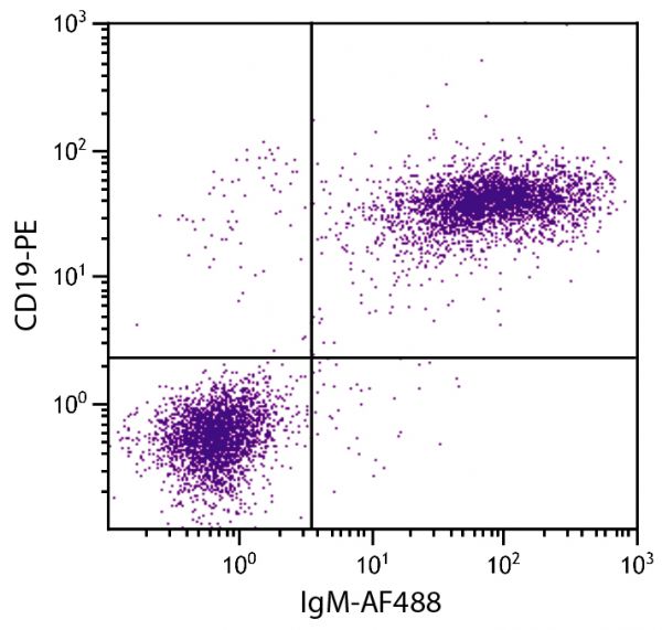 BALB/c mouse splenocytes were stained with Goat Anti-Mouse IgM-AF488 (SB Cat. No. 1021-30) and Rat Anti-Mouse CD19-PE (SB Cat. No. 1575-09).