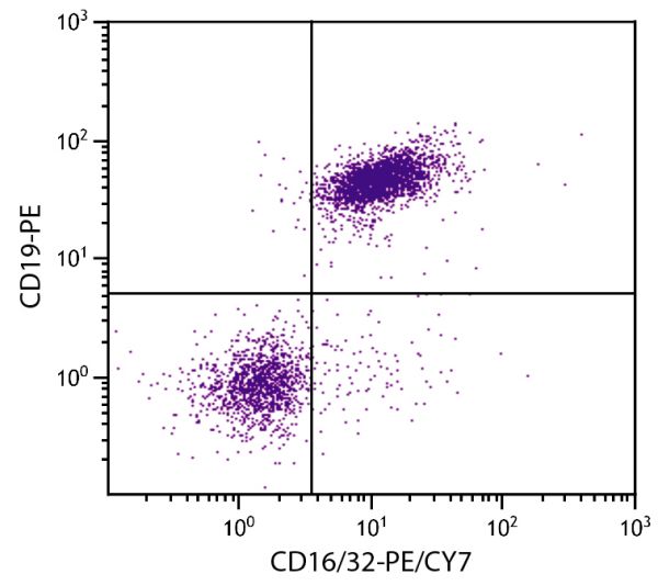 BALB/c mouse splenocytes were stained with Rat Anti-Mouse CD16/32-PE/CY7 (SB Cat. No. 1630-17) and Rat Anti-Mouse CD19-PE (SB Cat. No. 1575-09).