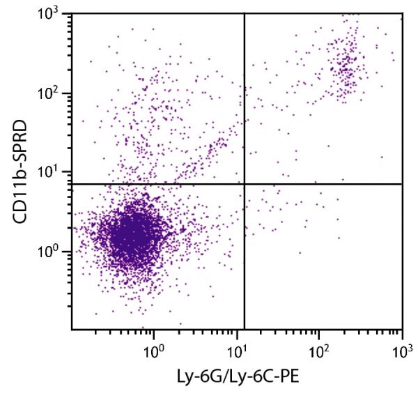 BALB/c mouse splenocytes were stained with Rat Anti-Mouse CD11b-SPRD (SB Cat. No. 1561-13) and Rat Anti-Mouse Ly-6G/Ly-6C-PE (SB Cat. No. 1900-09).