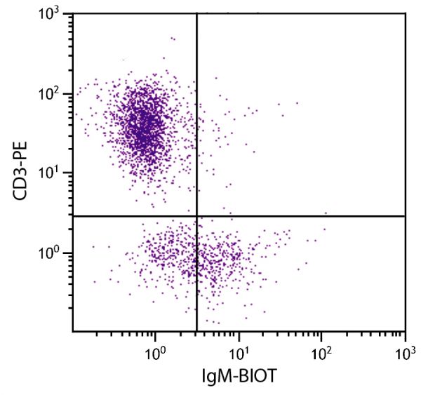 Chicken peripheral blood lymphocytes were stained with Mouse Anti-Chicken IgM-BIOT (SB Cat. No. 8300-08) and Mouse Anti-Chicken CD3-PE (SB Cat. No. 8200-09) followed by Streptavidin-FITC (SB Cat. No. 7100-02).