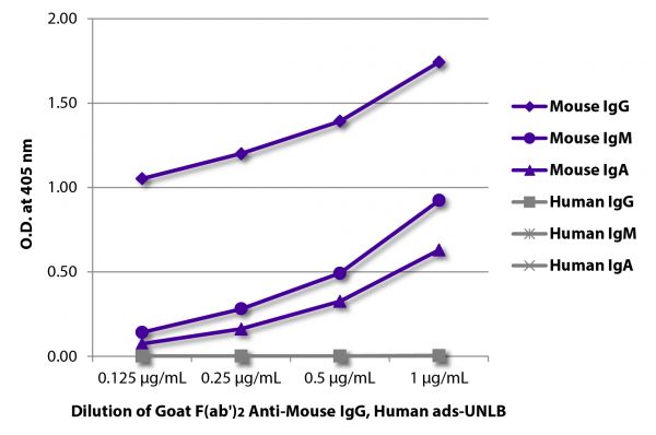 ELISA plate was coated with purified mouse IgG, IgM, and IgA and human IgG, IgM, and IgA.  Immunoglobulins were detected with serially diluted Goat F(ab')<sub>2</sub> Anti-Mouse IgG(H+L), Human ads-UNLB (SB Cat. No. 1032-01) followed by Swine Anti-Goat IgG(H+L), Human/Rat/Mouse SP ads-HRP (SB Cat. No. 6300-05).