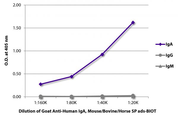 ELISA plate was coated with purified human IgA, IgG, and IgM.  Immunoglobulins were detected with serially diluted Goat Anti-Human IgA, Mouse/Bovine/Horse SP ads-BIOT (SB Cat. No. 2053-08) followed by Streptavidin-HRP (SB Cat. No. 7105-05).
