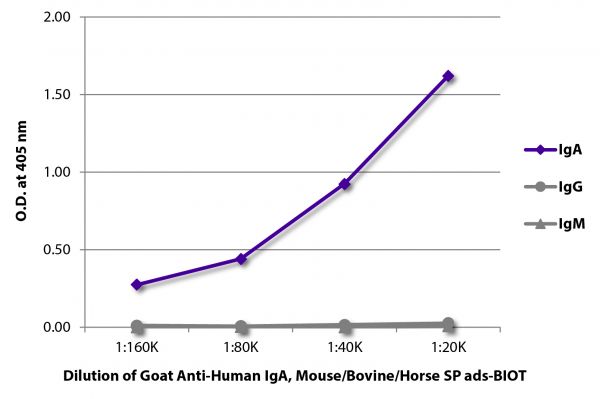 ELISA plate was coated with purified human IgA, IgG, and IgM. Immunoglobulins were detected with serially diluted Goat Anti-Human IgA, Mouse/Bovine/Horse SP ads-BIOT (SB Cat. No. 2053-08) followed by Streptavidin-HRP (SB Cat. No. 7105-05).