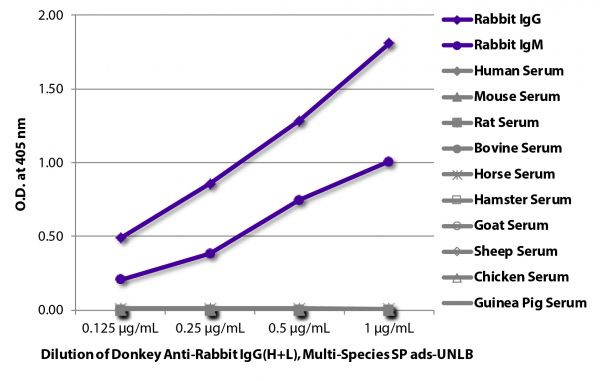 ELISA plate was coated with purified rabbit IgG and IgM and human, mouse, rat, bovine, horse, hamster, goat, sheep, chicken, and guinea pig serum. Immunoglobulins and sera were detected with serially diluted Donkey Anti-Rabbit IgG(H+L), Multi-Species SP ads-UNLB (SB Cat. No. 6442-01) followed by Goat Anti-Equine IgG(H+L)-HRP (SB Cat. No. 6040-05).