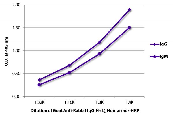 ELISA plate was coated with purified rabbit IgG and IgM. Immunoglobulins were detected with serially diluted Goat Anti-Rabbit IgG(H+L), Human ads-HRP (SB Cat. No. 4051-05).