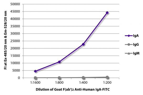 FLISA plate was coated with purified human IgA, IgG, and IgM. Immunoglobulins were detected with serially diluted Goat F(ab')<sub>2</sub> Anti-Human IgA-FITC (SB Cat. No. 2052-02).
