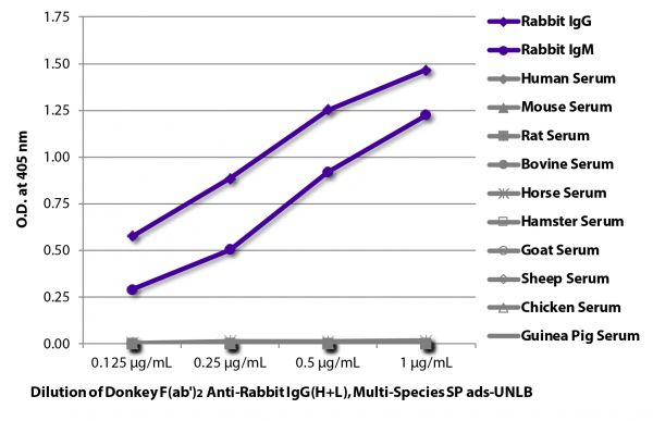 ELISA plate was coated with purified rabbit IgG and IgM and human, mouse, rat, bovine, horse, hamster, goat, sheep, chicken, and guinea pig serum.  Immunoglobulins and sera were detected with serially diluted Donkey F(ab')<sub>2</sub> Anti-Rabbit IgG(H+L), Multi-Species SP ads-UNLB (SB Cat. No. 6444-01) followed by Goat Anti-Equine IgG(H+L)-HRP (SB Cat. No. 6040-05).
