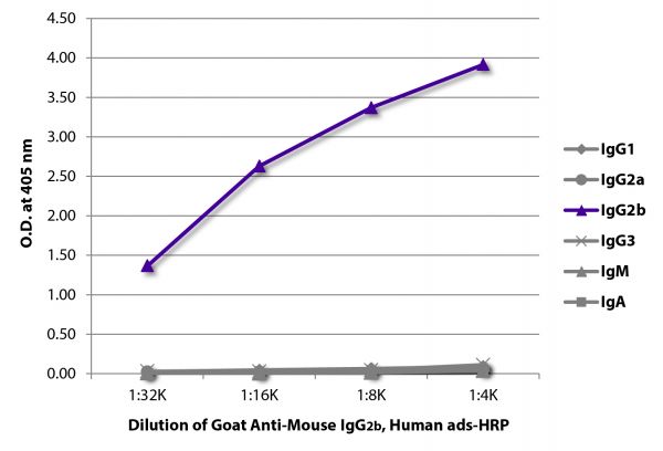ELISA plate was coated with purified mouse IgG<sub>1</sub>, IgG<sub>2a</sub>, IgG<sub>2b</sub>, IgG<sub>3</sub>, IgM, and IgA. Immunoglobulins were detected with serially diluted Goat Anti-Mouse IgG<sub>2b</sub>, Human ads-HRP (SB Cat. No. 1090-05).