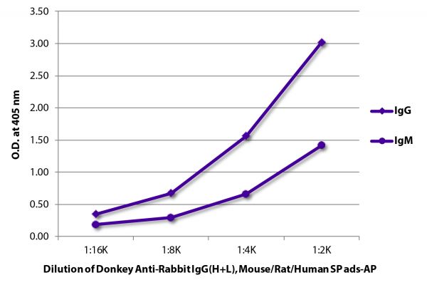 ELISA plate was coated with purified rabbit IgG and IgM. Immunoglobulins were detected with serially diluted Donkey Anti-Rabbit IgG(H+L), Mouse/Rat/Human SP ads-AP (SB Cat. No. 6440-04).