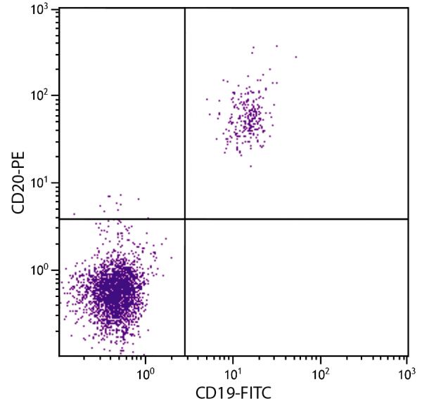 Human peripheral blood lymphocytes were stained with Mouse Anti-Human CD20-PE (SB Cat. No. 9350-09S) and Mouse Anti-Human CD19-FITC (SB Cat. No. 9340-02).
