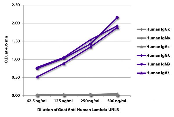 ELISA plate was coated with purified human IgGκ, IgMκ, IgAκ, IgGλ, IgMλ, and IgAλ.  Immunoglobulins were detected with serially diluted Goat Anti-Human Lambda-UNLB (SB Cat. No. 2070-01) followed by Mouse Anti-Goat IgG Fc-HRP (SB Cat. No. 6158-05).