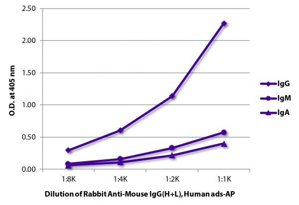 ELISA plate was coated with purified mouse IgG, IgM, and IgA.  Immunoglobulins were detected with Rabbit Anti-Mouse IgG(H+L), Human ads-AP (SB Cat. No. 6175-04).