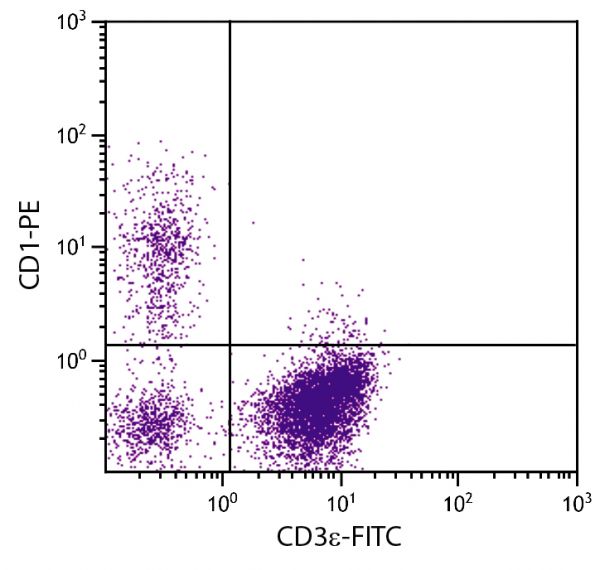 Porcine peripheral blood lymphocytes were stained with Mouse Anti-Porcine CD1-PE (SB Cat. No. 4500-09) and Mouse Anti-Porcine CD3ε-FITC (SB Cat. No. 4510-02).