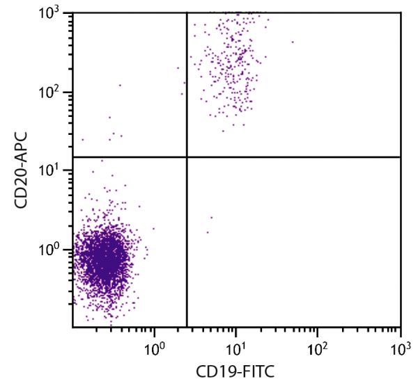 Human peripheral blood lymphocytes were stained with Mouse Anti-Human CD20-APC (SB Cat. No. 9350-11S) and Mouse Anti-Human CD19-FITC (SB Cat. No. 9340-02).
