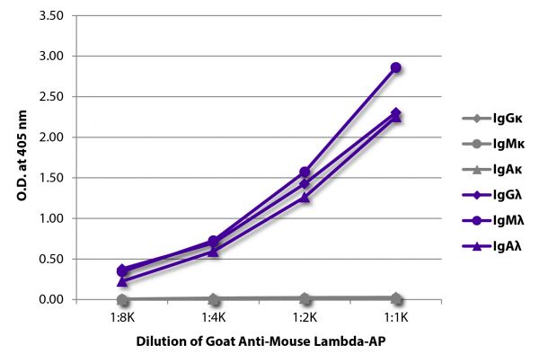 ELISA plate was coated with purified mouse IgGκ, IgMκ, IgAκ, IgGλ, IgMλ, and IgAλ. Immunoglobulins were detected with serially diluted Goat Anti-Mouse Lambda-AP (SB Cat. No. 1060-04).