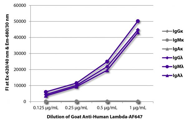 FLISA plate was coated with purified human IgGκ, IgMκ, IgAκ, IgGλ, IgMλ, and IgAλ. Immunoglobulins were detected with serially diluted Goat Anti-Human Lambda-AF647 (SB Cat. No. 2070-31).