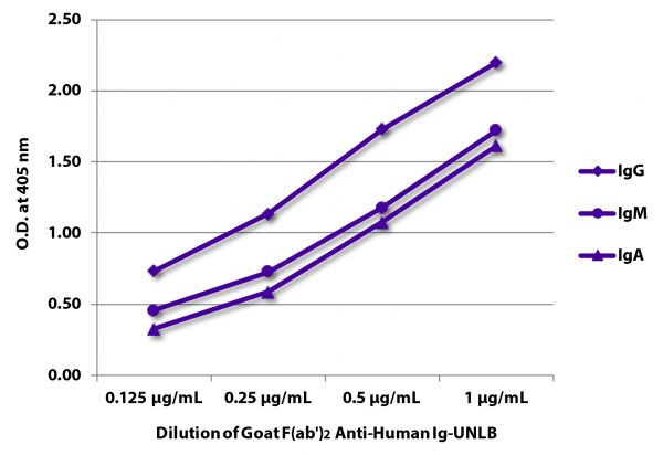 ELISA plate was coated with purified human IgG, IgM, and IgA.  Immunoglobulins were detected with serially diluted Goat F(ab')<sub>2</sub> Anti-Human Ig-UNLB (SB Cat. No. 2012-01) followed by Swine Anti-Goat IgG(H+L), Human/Rat/Mouse SP ads-HRP (SB Cat. No. 6300-05).