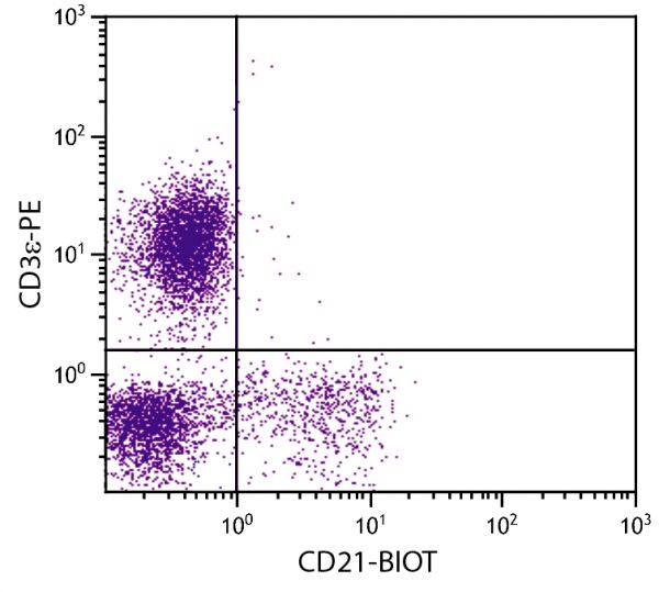 Porcine peripheral blood lymphocytes were stained with Mouse Anti-Porcine CD21-BIOT (SB Cat. No. 4530-08) and Mouse Anti-Porcine CD3ε-PE (SB Cat. No. 4510-09) followed by Streptavidin-FITC (SB Cat. No. 7100-02).