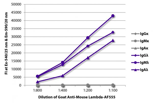 FLISA plate was coated with purified mouse IgGκ, IgMκ, IgAκ, IgGλ, IgMλ, and IgAλ. Immunoglobulins were detected with serially diluted Goat Anti-Mouse Lambda-AF555 (SB Cat. No. 1060-32).
