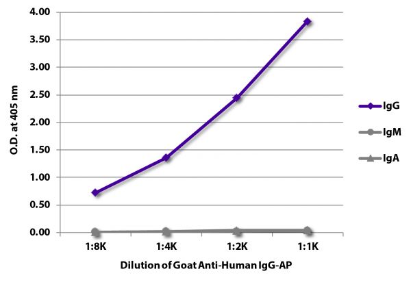 ELISA plate was coated with purified human IgG, IgM, and IgA. Immunoglobulins were detected with serially diluted Goat Anti-Human IgG-AP (SB Cat. No. 2040-04).