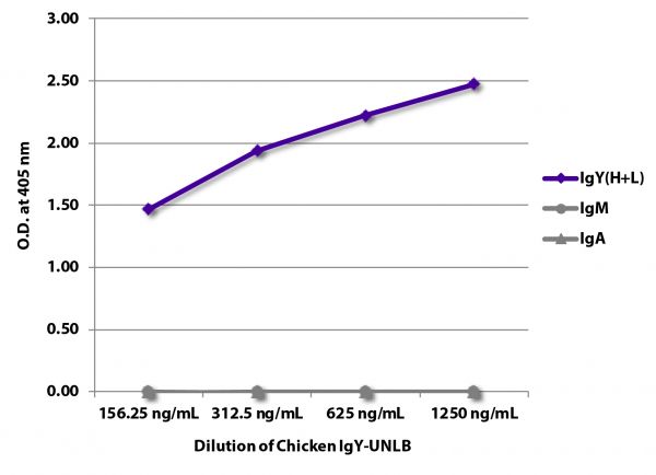 ELISA plate was coated with serially diluted Chicken IgY-UNLB (SB Cat. No. 0170-01).  Immunoglobulin was detected with Goat Anti-Chicken IgY(H+L)-BIOT (SB Cat. No. 6100-08),  Mouse Anti-Chicken IgM-BIOT (SB Cat. No. 8300-08), and Mouse Anti-Chicken IgA-BIOT (SB Cat. No. 8330-08) followed by Streptavidin-HRP (SB Cat No. 7100-05) and quantified.