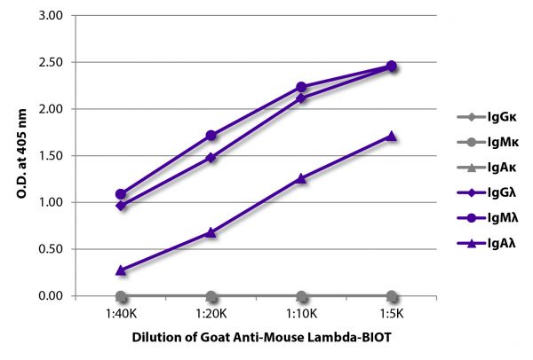 ELISA plate was coated with purified mouse IgGκ, IgMκ, IgAκ, IgGλ, IgMλ, and IgAλ. Immunoglobulins were detected with serially diluted Goat Anti-Mouse Lambda-BIOT (SB Cat. No. 1060-08) followed by Streptavidin-HRP (SB Cat. No. 7100-05).
