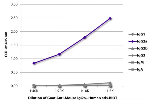 ELISA plate was coated with purified mouse IgG<sub>1</sub>, IgG<sub>2a</sub>, IgG<sub>2b</sub>, IgG<sub>3</sub>, IgM, and IgA.  Immunoglobulins were detected with serially diluted Goat Anti-Mouse IgG<sub>2a</sub>, Human ads-BIOT (SB Cat. No. 1080-08) followed by Streptavidin-HRP (SB Cat. No. 7100-05).