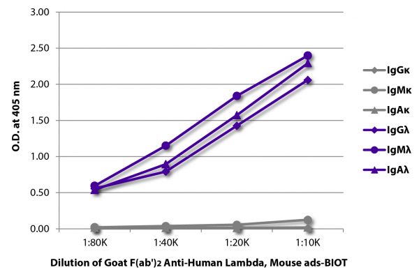 ELISA plate was coated with purified human IgGκ, IgMκ, IgAκ, IgGλ, IgMλ, and IgAλ. Immunoglobulins were detected with serially diluted Goat F(ab')<sub>2</sub> Anti-Human Lambda, Mouse ads-BIOT (SB Cat. No. 2073-08) followed by Streptavidin-HRP (SB Cat. No. 7100-05).