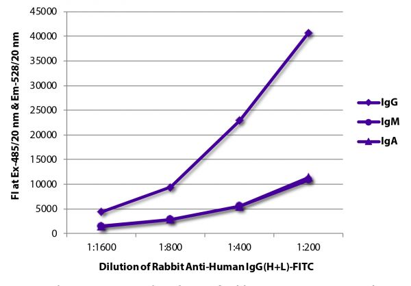 FLISA plate was coated with purified human IgG, IgM, and IgA.  Immunoglobulins were detected with Rabbit Anti-Human IgG(H+L)-FITC (SB Cat. No. 6140-02).