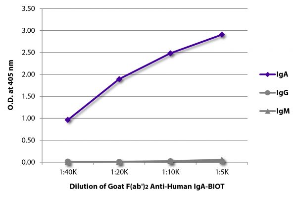 ELISA plate was coated with purified human IgA, IgG, and IgM. Immunoglobulins were detected with serially diluted Goat F(ab')<sub>2</sub> Anti-Human IgA-BIOT (SB Cat. No. 2052-08) followed by Streptavidin-HRP (SB Cat. No. 7100-05).