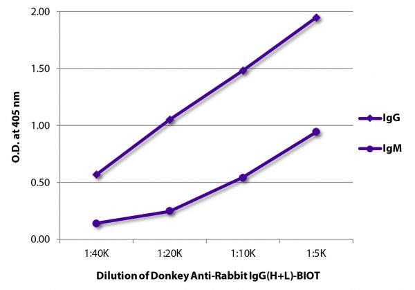 ELISA plate was coated with purified rabbit IgG and IgM.  Immunoglobulins were detected with serially diluted Donkey Anti-Rabbit IgG(H+L)-BIOT (SB Cat. No. 6441-08) followed by Streptavidin-HRP (SB Cat. No. 7100-05).