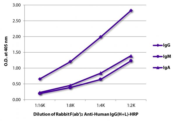 ELISA plate was coated with purified human IgG, IgM, and IgA.  Immunoglobulins were detected with Rabbit F(ab')<sub>2</sub> Anti-Human IgG(H+L)-HRP (SB Cat. No. 6000-05).