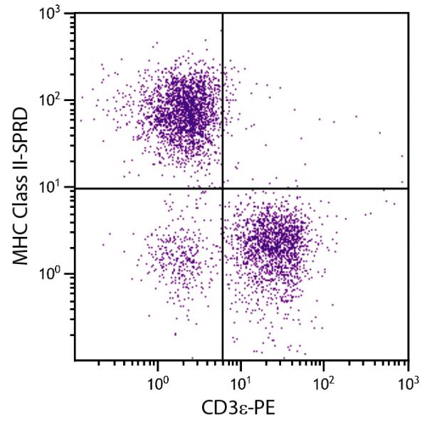 BALB/c mouse splenocytes were stained with Rat Anti-Mouse MHC Class II-SPRD (SB Cat. No. 1895-13) and Rat Anti-Mouse CD3ε-PE (SB Cat. No. 1535-09).