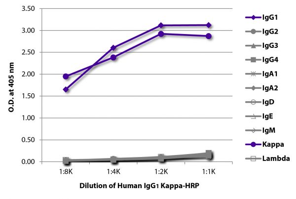 ELISA plate was coated with Mouse Anti-Human IgG<sub>1</sub> Hinge-UNLB (SB Cat. No. 9052-01), Mouse Anti-Human IgG<sub>2</sub> Fc-UNLB (SB Cat. No. 9060-01), Mouse Anti-Human IgG<sub>3</sub> Hinge-UNLB (SB Cat. No. 9210-01), Mouse Anti-Human IgG<sub>4</sub> pFc'-UNLB (SB Cat. No. 9190-01), Mouse Anti-Human IgA<sub>1</sub>-BIOT (SB Cat. No. 9130-01), Mouse Anti-Human IgA<sub>2</sub>-UNLB (SB Cat. No. 9140-01), Mouse Anti-Human IgD-UNLB (SB Cat. No. 9030-01), Mouse Anti-Human IgE Fc-UNLB (SB Cat. No. 9160-01), Mouse Anti-Human IgM-UNLB (SB Cat. No. 9020-01), Mouse Anti-Human Kappa-UNLB (SB Cat. No. 9230-01), and Mouse Anti-Human Lambda-UNLB (SB Cat. No. 9180-01). Serially diluted Human IgG<sub>1</sub> Kappa-HRP (SB Cat. No. 0151K-05) was captured and quantified.