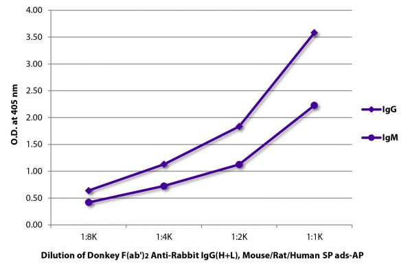 ELISA plate was coated with purified rabbit IgG and IgM.  Immunoglobulins were detected with serially diluted Donkey F(ab')<sub>2</sub> Anti-Rabbit IgG(H+L), Mouse/Rat/Human SP ads-AP (SB Cat. No. 6446-04).