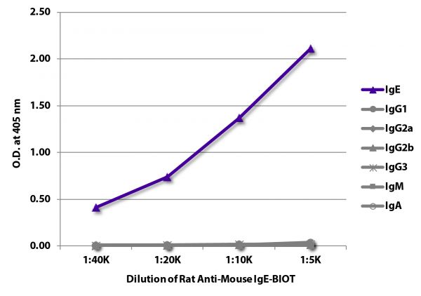 ELISA plate was coated with purified mouse IgE, IgG<sub>1</sub>, IgG<sub>2a</sub>, IgG<sub>2b</sub>, IgG<sub>3</sub>, IgM, and IgA. Immunoglobulins were detected with serially diluted Rat Anti-Mouse IgE-BIOT (SB Cat. No. 1130-08) followed by Streptavidin-HRP (SB Cat. No. 7100-05).