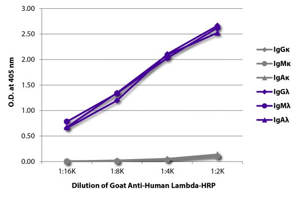 ELISA plate was coated with purified human IgGκ, IgMκ, IgAκ, IgGλ, IgMλ, and IgAλ. Immunoglobulins were detected with serially diluted Goat Anti-Human Lambda-HRP (SB Cat. No. 2070-05).