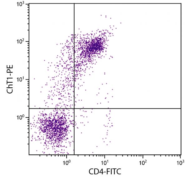 Chick thymocytes were stained with Mouse Anti-Chicken ChT1-PE (SB Cat. No. 8410-09) and Mouse Anti-Chicken CD4-FITC (SB Cat. No. 8255-02).