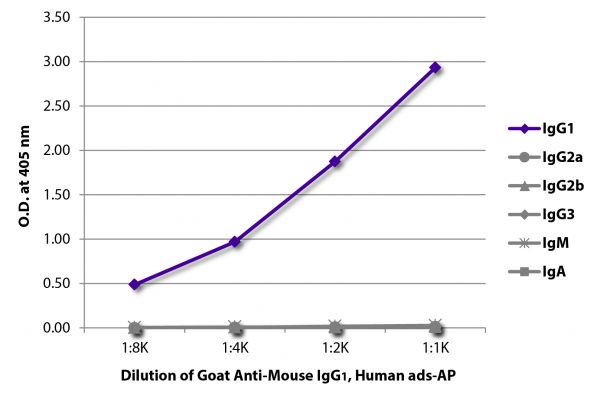 ELISA plate was coated with purified mouse IgG<sub>1</sub>, IgG<sub>2a</sub>, IgG<sub>2b</sub>, IgG<sub>3</sub>, IgM, and IgA.  Immunoglobulins were detected with serially diluted Goat Anti-Mouse IgG<sub>1</sub>, Human ads-AP (SB Cat. No. 1070-04).