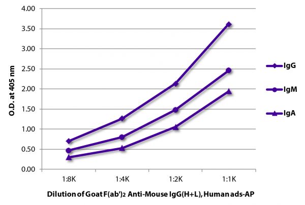 ELISA plate was coated with purified mouse IgG, IgM, and IgA.  Immunoglobulins were detected with serially diluted Goat F(ab')<sub>2</sub> Anti-Mouse IgG(H+L), Human ads-AP (SB Cat. No. 1032-04).