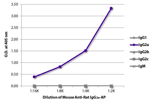 ELISA plate was coated with purified rat IgG<sub>1</sub>, IgG<sub>2a</sub>, IgG<sub>2b</sub>, IgG<sub>2c</sub>, and IgM.  Immunoglobulins were detected with serially diluted Mouse Anti-Rat IgG<sub>2a</sub>-AP (SB Cat. No. 3065-04).