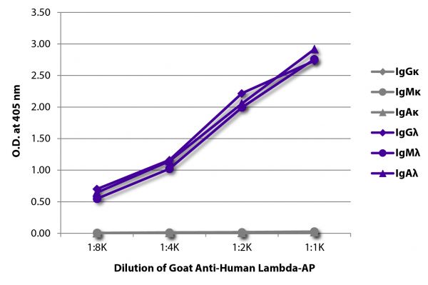 ELISA plate was coated with purified human IgGκ, IgMκ, IgAκ, IgGλ, IgMλ, and IgAλ.  Immunoglobulins were detected with serially diluted Goat Anti-Human Lambda-AP (SB Cat. No. 2070-04).