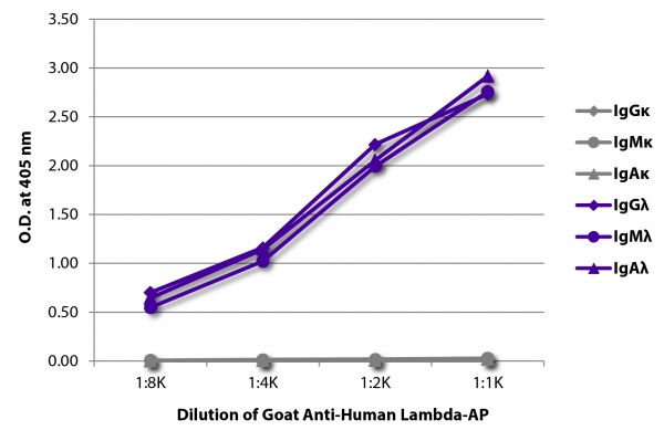 ELISA plate was coated with purified human IgGκ, IgMκ, IgAκ, IgGλ, IgMλ, and IgAλ. Immunoglobulins were detected with serially diluted Goat Anti-Human Lambda-AP (SB Cat. No. 2070-04).