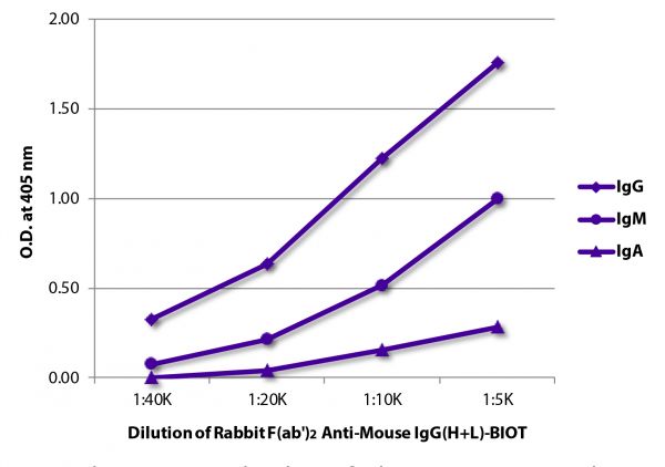 ELISA plate was coated with purified mouse IgG, IgM, and IgA. Immunoglobulins were detected with serially diluted Rabbit F(ab')<sub>2</sub> Anti-Mouse IgG(H+L)-BIOT (SB Cat. No. 6120-08) followed by Streptavidin-HRP (SB Cat. No. 7100-05).